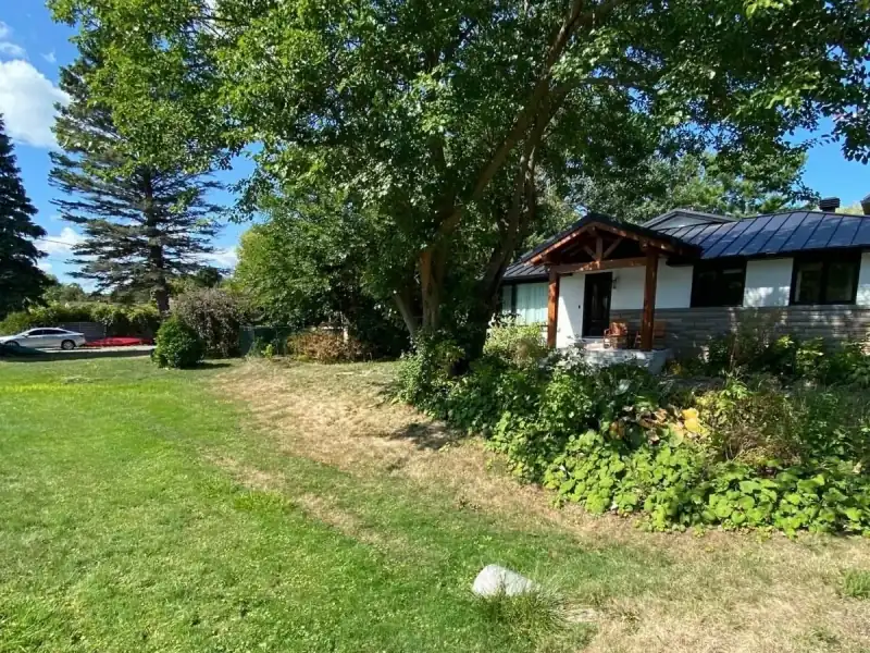 Plate-bande envahie et pelouse sèche devant un bungalow, vues de la rue, avant le nivellement