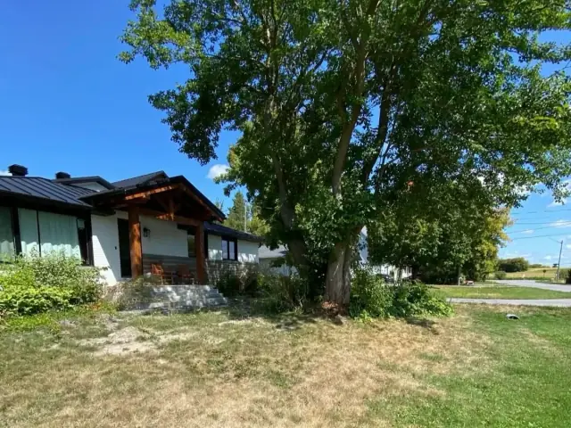 Pelouse sèche et clairsemée et grand arbre devant un bungalow, avant le nivellement